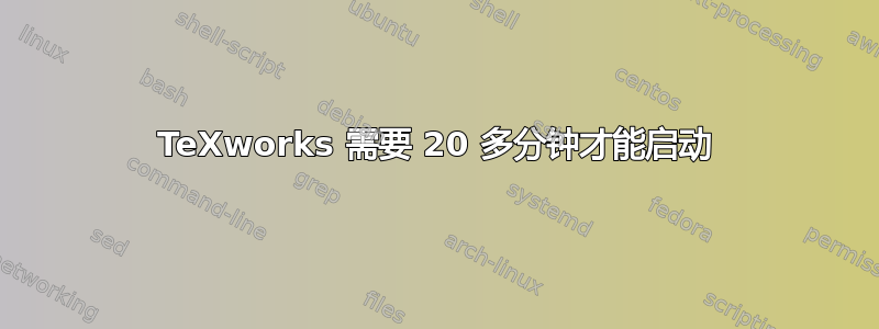 TeXworks 需要 20 多分钟才能启动