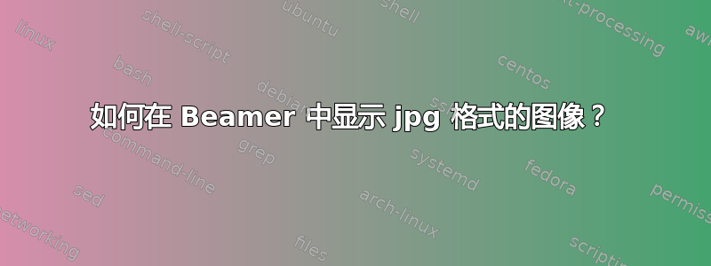 如何在 Beamer 中显示 jpg 格式的图像？