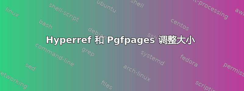 Hyperref 和 Pgfpages 调整大小