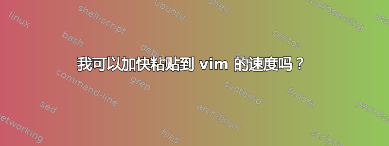 我可以加快粘贴到 vim 的速度吗？