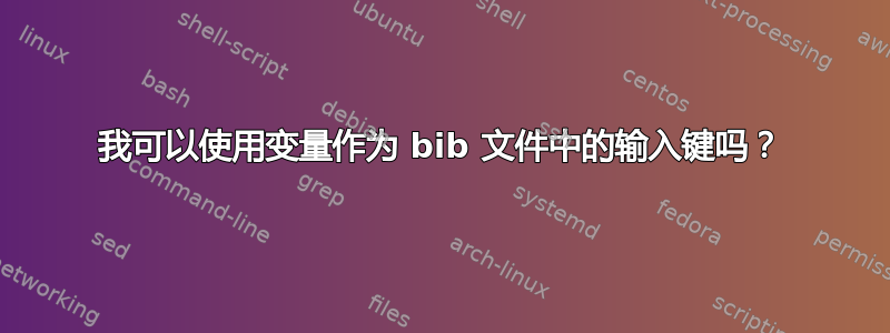 我可以使用变量作为 bib 文件中的输入键吗？