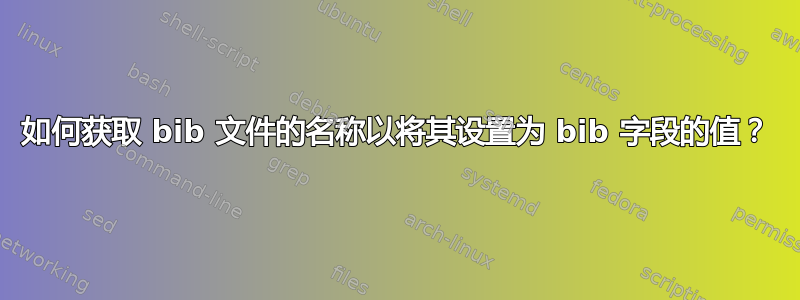 如何获取 bib 文件的名称以将其设置为 bib 字段的值？