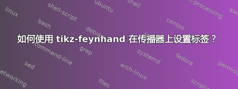 如何使用 tikz-feynhand 在传播器上设置标签？