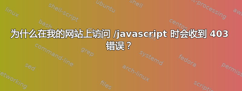 为什么在我的网站上访问 /javascript 时会收到 403 错误？