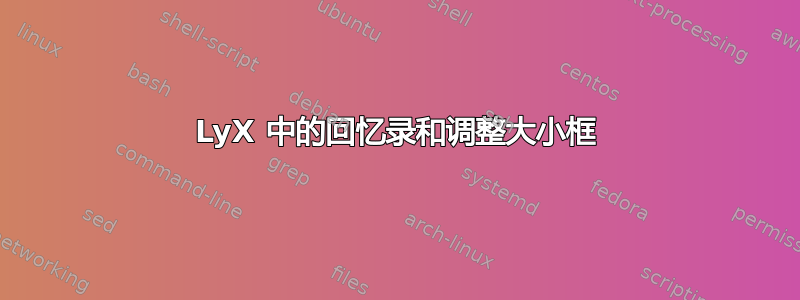 LyX 中的回忆录和调整大小框