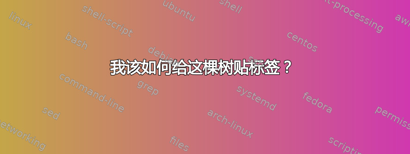 我该如何给这棵树贴标签？