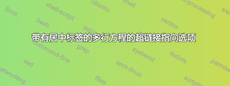 带有居中标签的多行方程的超链接指向选项