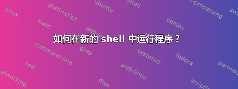 如何在新的 shell 中运行程序？