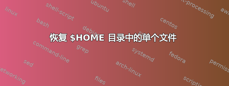 恢复 $HOME 目录中的单个文件