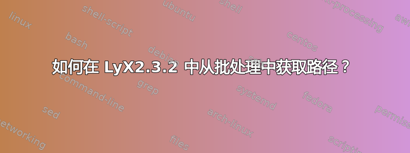 如何在 LyX2.3.2 中从批处理中获取路径？