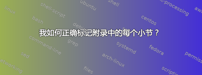 我如何正确标记附录中的每个小节？