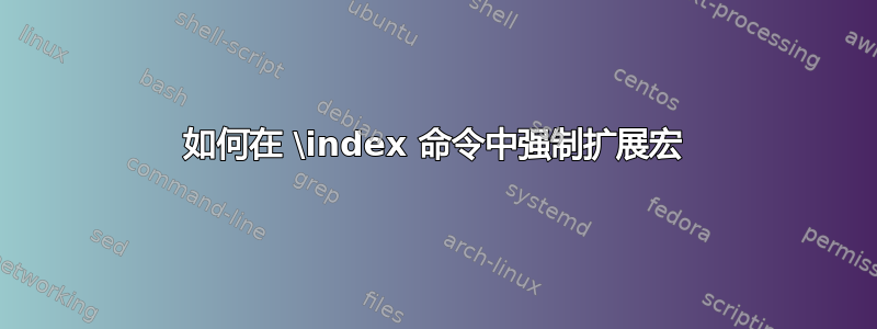 如何在 \index 命令中强制扩展宏