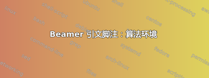 Beamer 引文脚注：算法环境