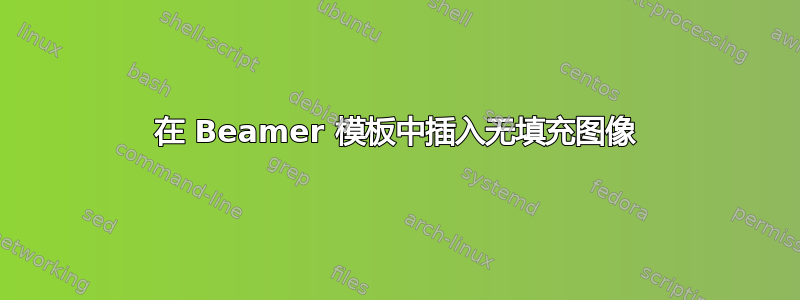 在 Beamer 模板中插入无填充图像