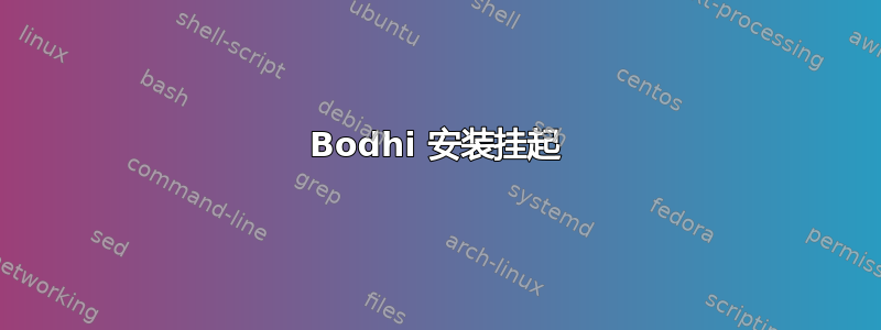 Bodhi 安装挂起