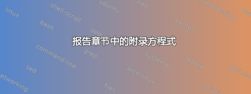 报告章节中的附录方程式