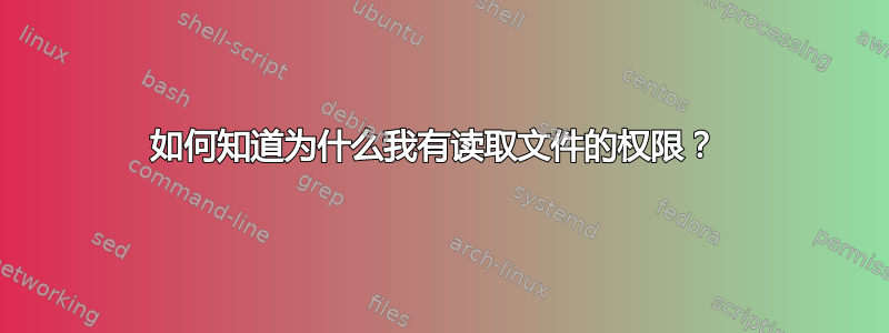 如何知道为什么我有读取文件的权限？ 