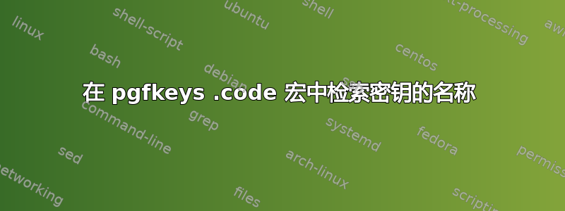 在 pgfkeys .code 宏中检索密钥的名称