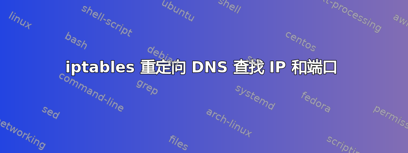 iptables 重定向 DNS 查找 IP 和端口