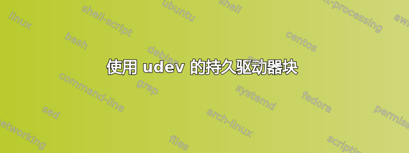 使用 udev 的持久驱动器块