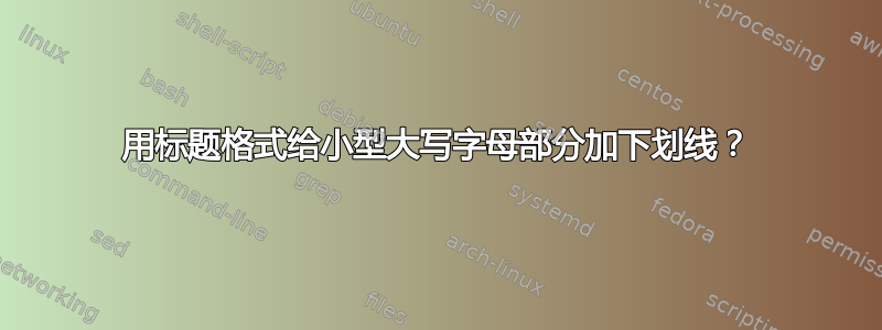 用标题格式给小型大写字母部分加下划线？