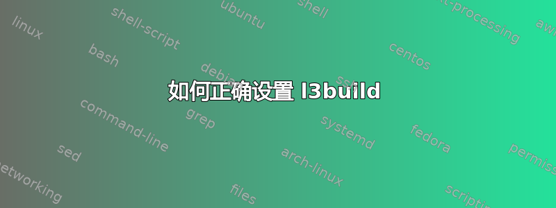 如何正确设置 l3build