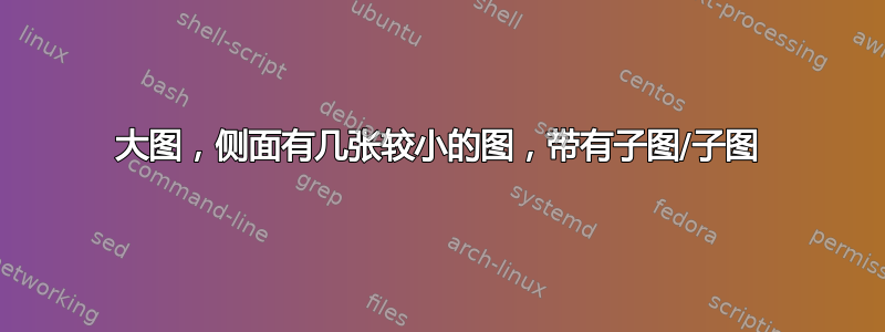 大图，侧面有几张较小的图，带有子图/子图