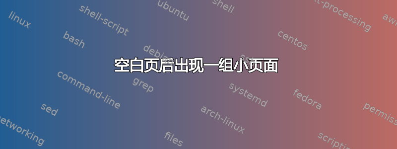 空白页后出现一组小页面