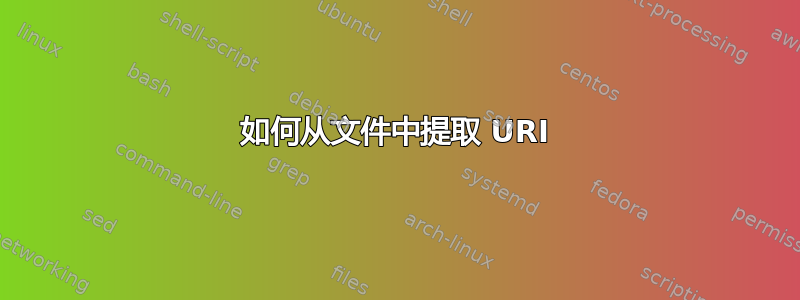 如何从文件中提取 URI