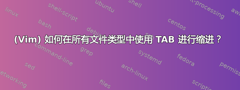 (Vim) 如何在所有文件类型中使用 TAB 进行缩进？