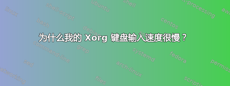 为什么我的 Xorg 键盘输入速度很慢？