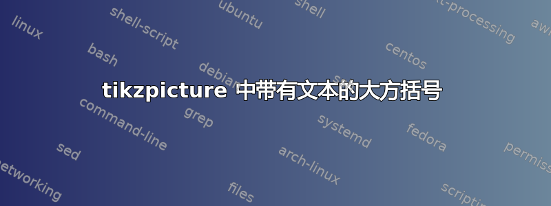 tikzpicture 中带有文本的大方括号