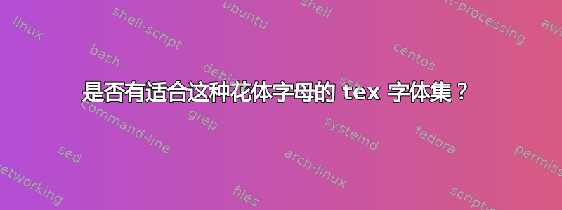 是否有适合这种花体字母的 tex 字体集？