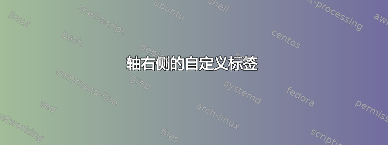 轴右侧的自定义标签