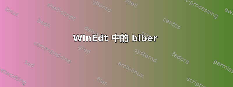 WinEdt 中的 biber