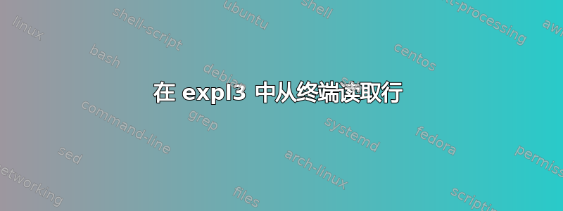 在 expl3 中从终端读取行