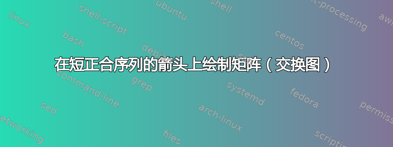 在短正合序列的箭头上绘制矩阵（交换图）