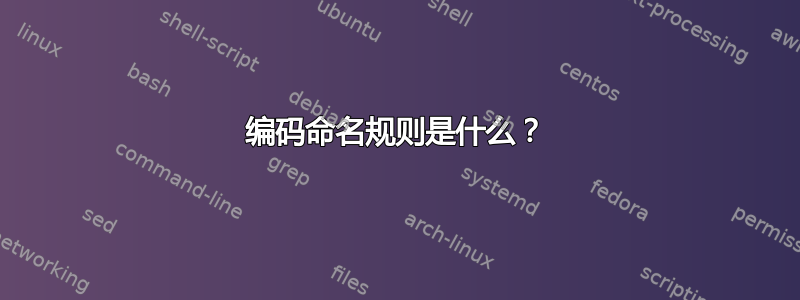 编码命名规则是什么？