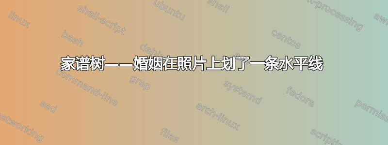 家谱树——婚姻在照片上划了一条水平线