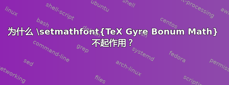 为什么 \setmathfont{TeX Gyre Bonum Math} 不起作用？