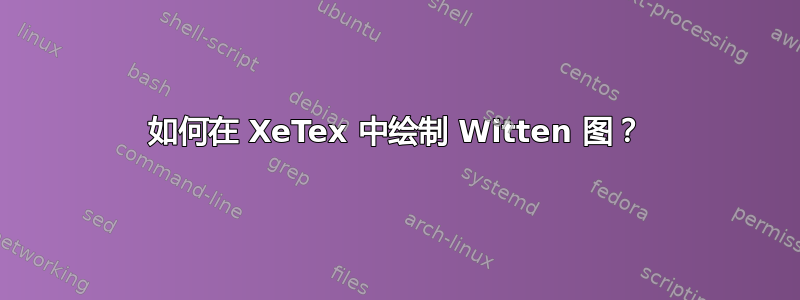 如何在 XeTex 中绘制 Witten 图？