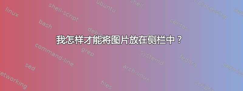 我怎样才能将图片放在侧栏中？