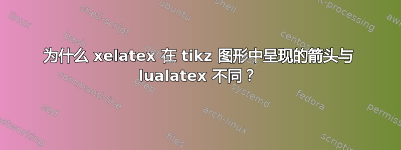 为什么 xelatex 在 tikz 图形中呈现的箭头与 lualatex 不同？