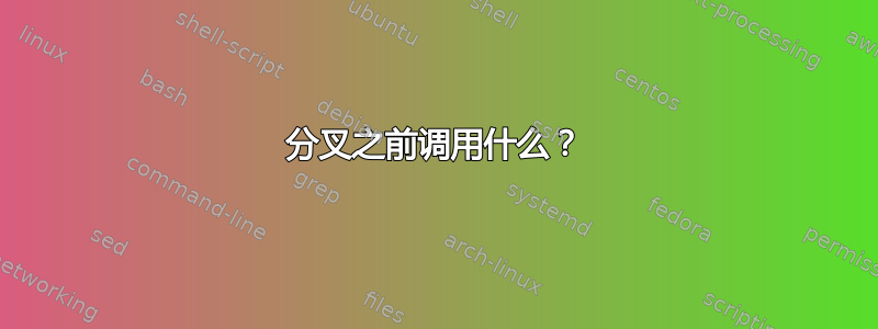 分叉之前调用什么？