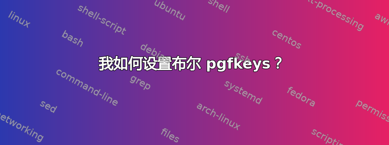 我如何设置布尔 pgfkeys？