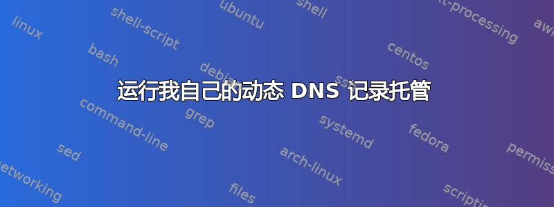 运行我自己的动态 DNS 记录托管