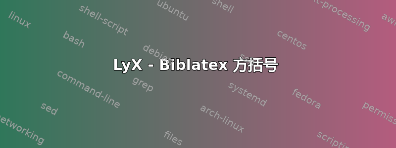 LyX - Biblatex 方括号