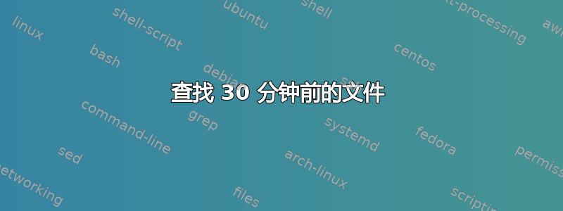 查找 30 分钟前的文件