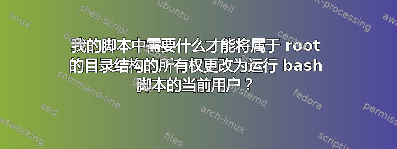 我的脚本中需要什么才能将属于 root 的目录结构的所有权更改为运行 bash 脚本的当前用户？