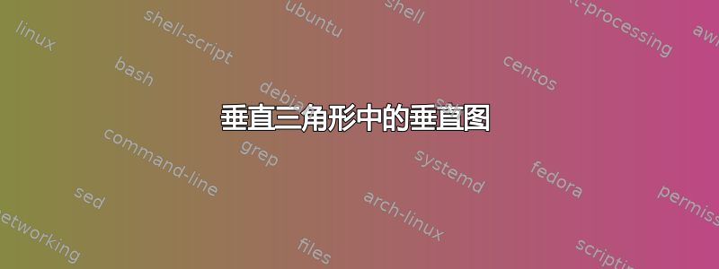 垂直三角形中的垂直图